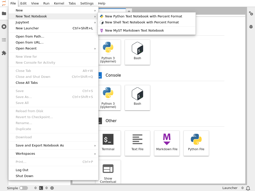 The New Text Notebook submenu in the File menu